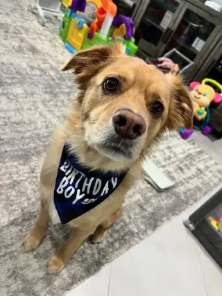 Tucker *