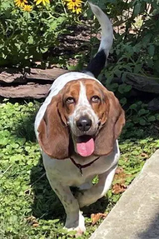 LUCY aka LULA