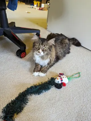 IZZY