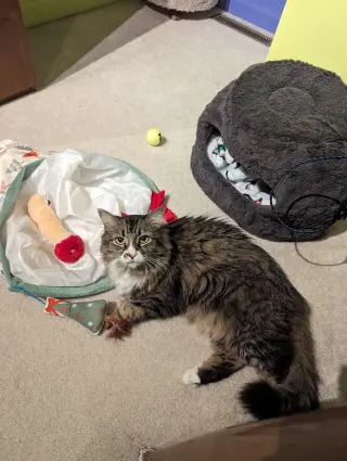 IZZY