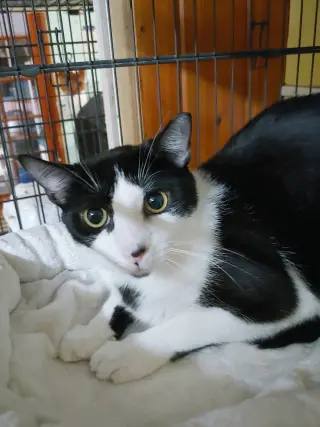 Tom