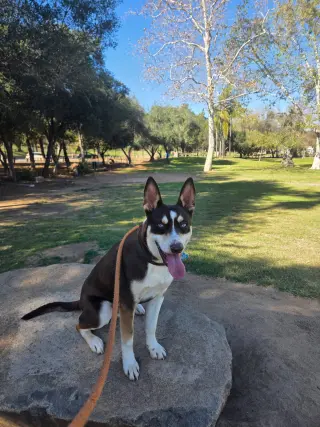 Kane