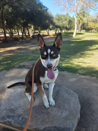 Kane