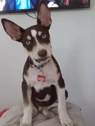Kane