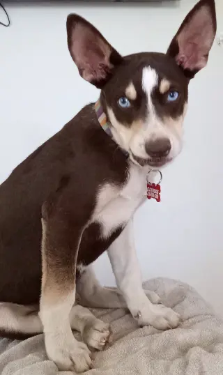 Kane