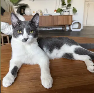 Denali
