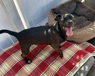One eyed Oreo