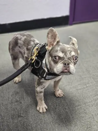 Wyatt (Special Needs)