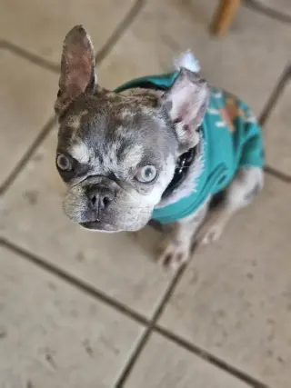 Wyatt (Special Needs)