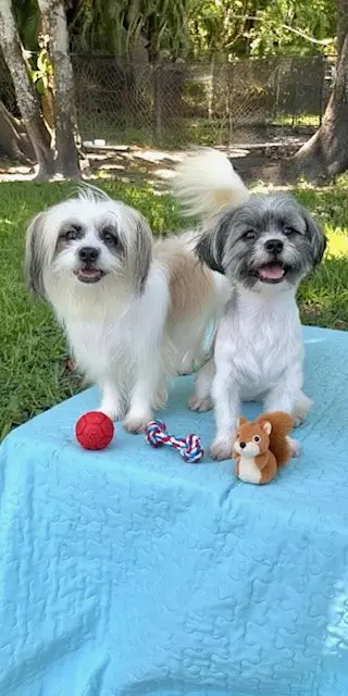 Cassie & Cindy
