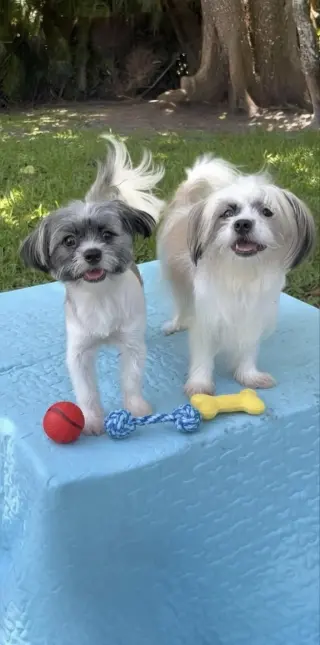 Cassie & Cindy