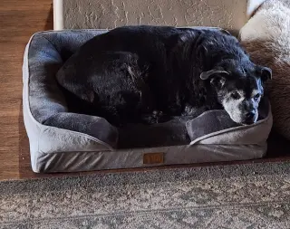 ERNIE