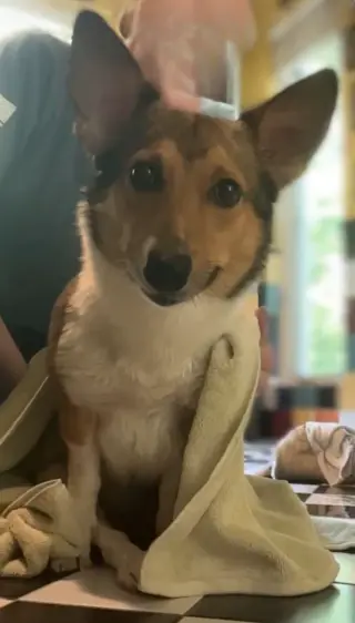 Sadie