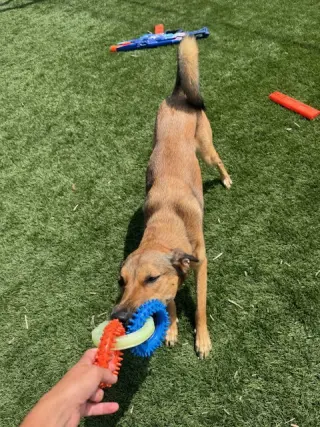 Maggie