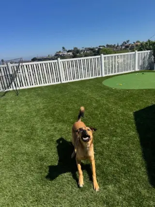 Maggie