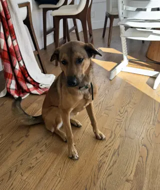 Maggie