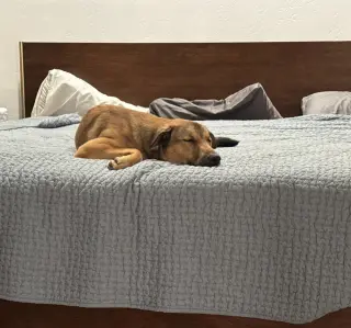Maggie
