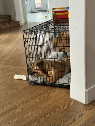 Maggie