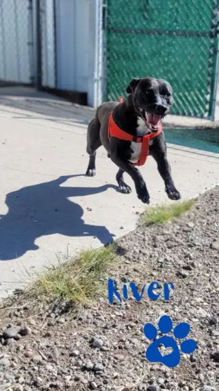 River