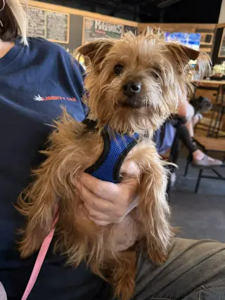 Tilly