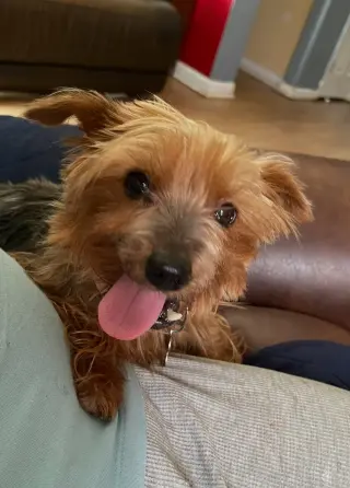 Tilly