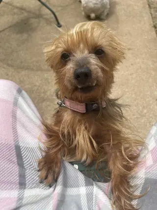 Tilly