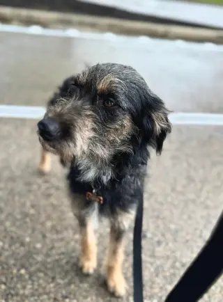 Cali