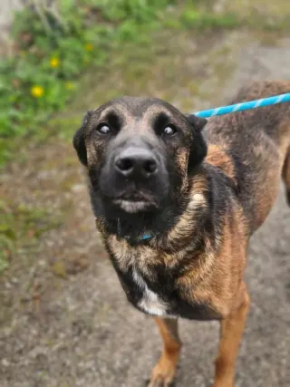 Luke - located in IL