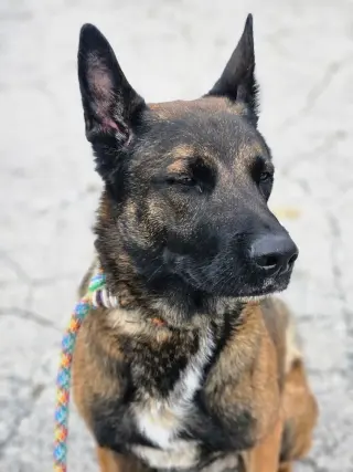 Luke - located in IL