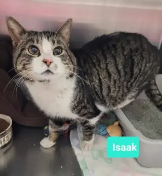 Isaak- Sponsored