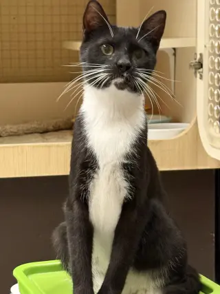 Ha'lia Napa Petco