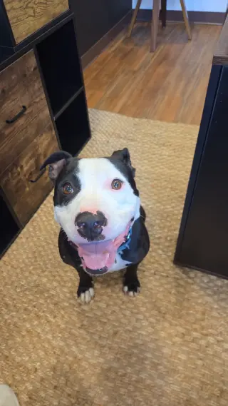Vinny