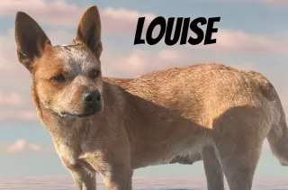 Louise