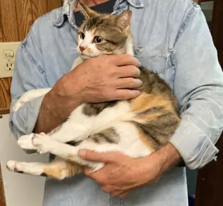 Marla bonded with Mervin