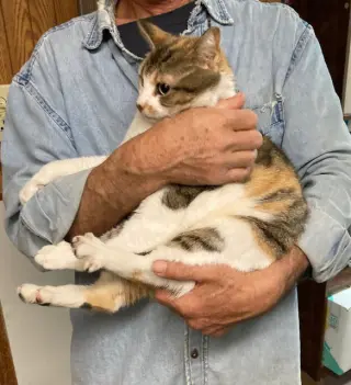 Marla bonded with Mervin
