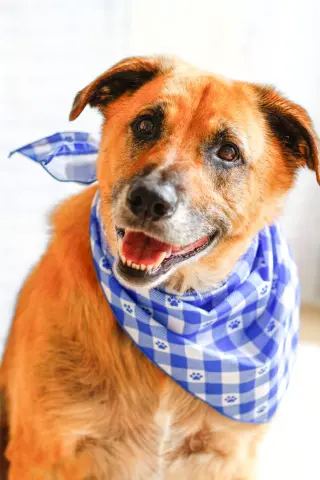 Eddie