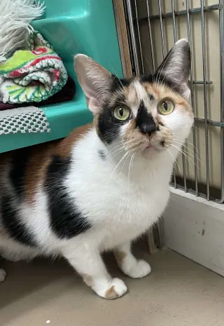 Quinn