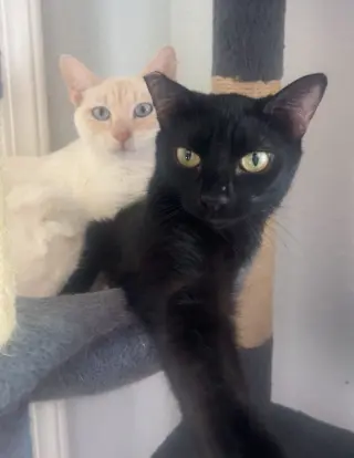 Lucky (& Miesha)