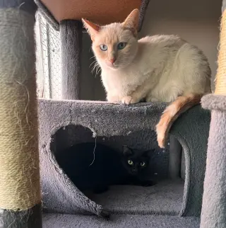 Lucky (& Miesha)