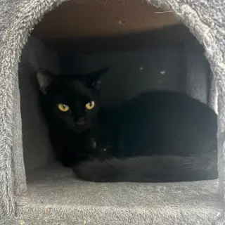 Miesha (& Lucky)