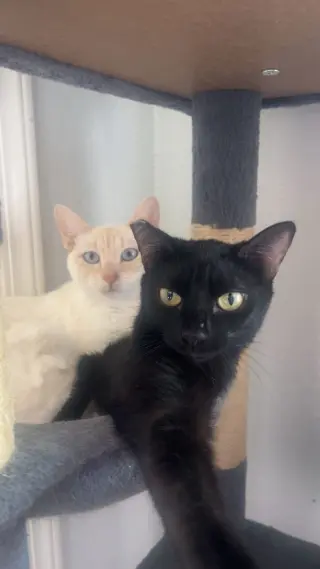 Miesha (& Lucky)