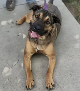Duke