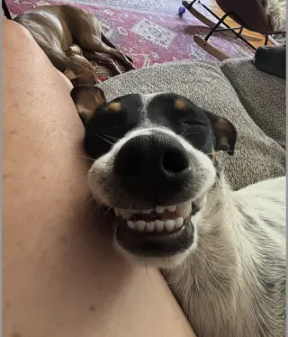 Pete