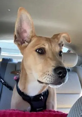 Keeley, loves to run with you