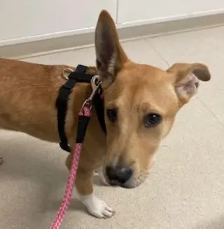 Keeley, loves to run with you