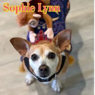 Sophie Lynn