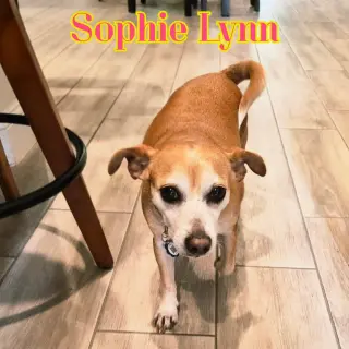 Sophie Lynn