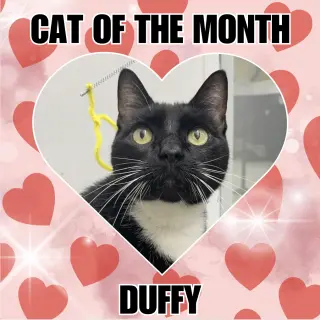 Duffy RM