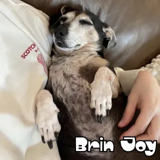 Brin Joy