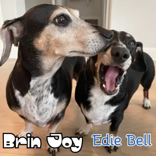 Brin Joy